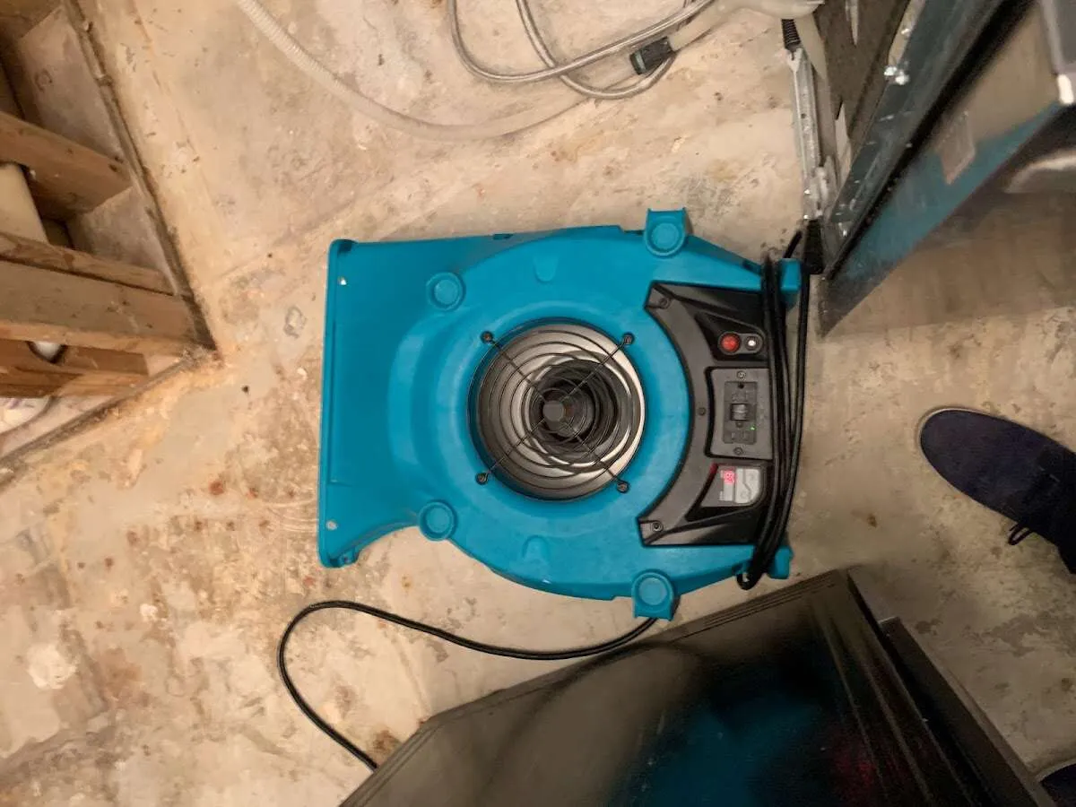 Air mover drying equipment for Mold Remediation & Removal in Rosemead